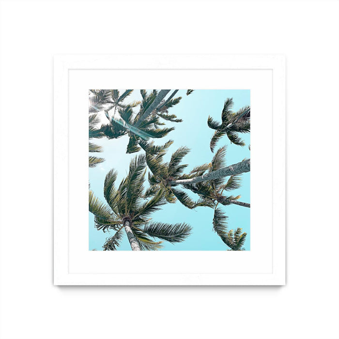 Œuvre d’art murale encadrée blanche et mate « Palm 03 » 30 x 30