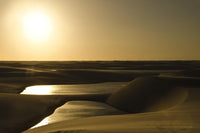 Œuvre d’art murale Giant Art « Golden Sunset » 72 x 48