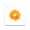 Œuvre d’art murale encadrée blanche et mate « Citrus Cultivar » 36 x 36