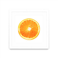 Œuvre d’art murale encadrée blanche et mate « Citrus Cultivar » 36 x 36