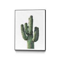 Œuvre d'art murale sur toile encadrée noire « Le Cactus » 18 x 24