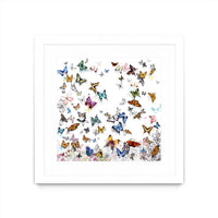 Œuvre d’art murale encadrée blanche et mate « Papillon » 36 x 36