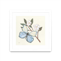 Œuvre d’art murale encadrée blanche et mate « In The Garden Butterfly » 30 x 30