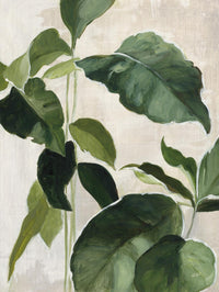 Œuvre d’art murale Giant Art « Tropical Study Ii » 72 x 54