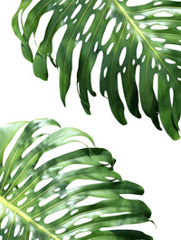 Œuvre d’art murale Giant Art « Double Philodendron (color) » 72 x 54