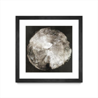 Œuvre d’art murale encadrée noire et mate « Touch Of Darkened Silver » 36 x 36