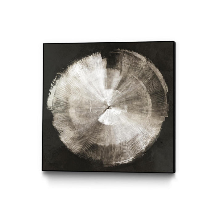 Œuvre d'art murale sur toile encadrée noire « Touch Of Silver » 20 x 20