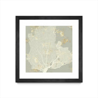 Œuvre d’art murale encadrée noire et mate « Sea Coral I » 30 x 30