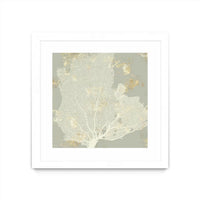 Œuvre d’art murale encadrée blanche et mate « Sea Coral I » 30 x 30
