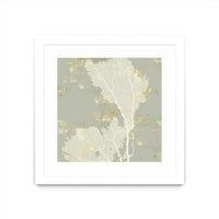 Œuvre d’art murale encadrée blanche et mate « Sea Coral Ii » 36 x 36
