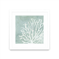 Œuvre d’art murale encadrée blanche et mate « Sea Crown Ii » 36 x 36