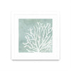 Œuvre d’art murale encadrée blanche et mate « Sea Crown Ii » 30 x 30