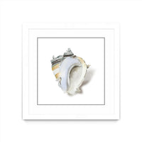 Œuvre d’art murale encadrée blanche et mate « Seafoam Shell » 36 x 36
