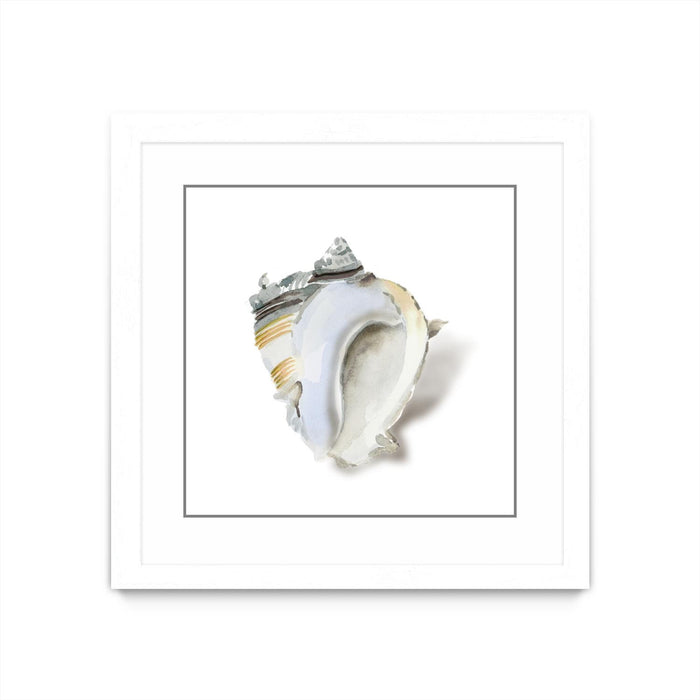 Œuvre d’art murale encadrée blanche et mate « Seafoam Shell » 30 x 30