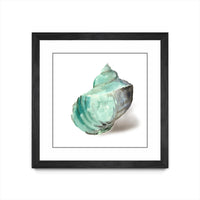 Œuvre d’art murale encadrée noire et mate « Shell In Mint » 36 x 36