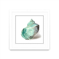 Œuvre d’art murale encadrée blanche et mate « Shell In Mint » 30 x 30