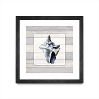 Œuvre d’art murale encadrée noire et mate « Muted Blue Sea Conch On Wood » 30 x 30