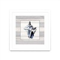 Œuvre d’art murale encadrée blanche et mate « Muted Blue Sea Conch On Wood » 30 x 30