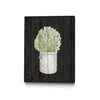Œuvre d'art murale sur toile encadrée noire « Herbs On Black Wood Ii » 18 x 24