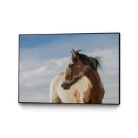 Œuvre d'art murale sur toile encadrée noire « Horse With Patches » 36 x 24
