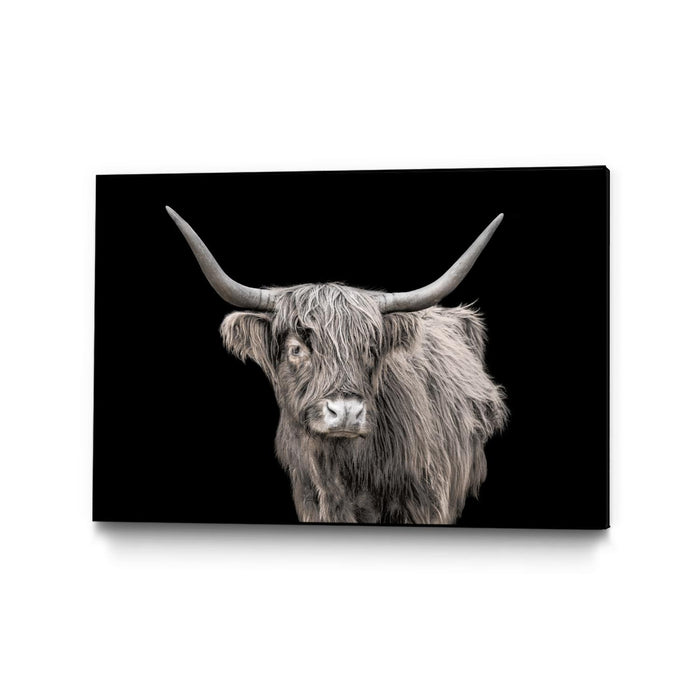 Œuvre d’art murale sur toile encadrée noire « A New Kid In Town » 36 x 24