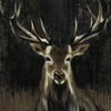 Œuvre d’art murale Giant Art « Young Buck » 54 x 54