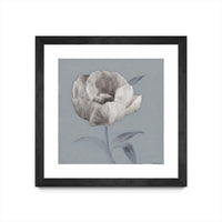 Œuvre d’art murale encadrée noire et mate « Floral Symposium I » 30 x 30