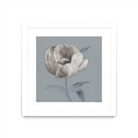 Œuvre d’art murale encadrée blanche et mate « Floral Symposium I » 36 x 36