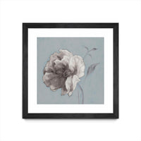 Œuvre d’art murale encadrée noire et mate « Floral Symposium Ii » 30 x 30