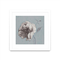 Œuvre d’art murale encadrée blanche et mate « Floral Symposium Ii » 36 x 36