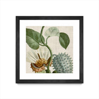 Œuvre d’art murale encadrée noire et mate « Cropped Turpin Tropicals Ii » 30 x 30