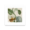 Œuvre d’art murale encadrée blanche et mate « Cropped Turpin Tropicals Ii » 30 x 30