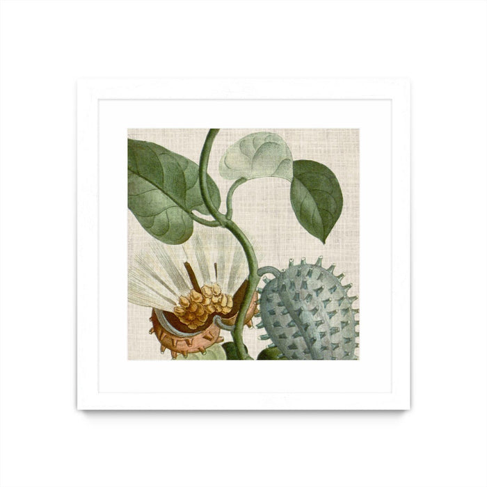 Œuvre d’art murale encadrée blanche et mate « Cropped Turpin Tropicals Ii » 30 x 30
