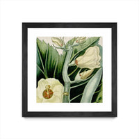 Œuvre d’art murale encadrée noire et mate « Cropped Turpin Tropicals Iii » 36 x 36