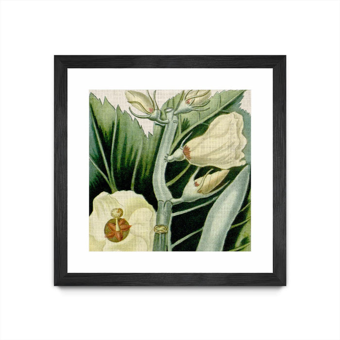 Œuvre d’art murale encadrée noire et mate « Cropped Turpin Tropicals Iii » 36 x 36
