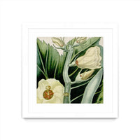 Œuvre d’art murale encadrée blanche et mate « Cropped Turpin Tropicals Iii » 30 x 30