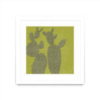 Œuvre d’art murale encadrée blanche et mate « Opuntia I » 30 x 30
