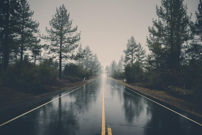 Œuvre d’art murale Giant Art « Rainy Day » 72 x 48
