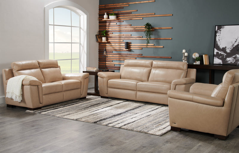 Carpette Dunes - 6 pi 7 po x 9 pi 6 po