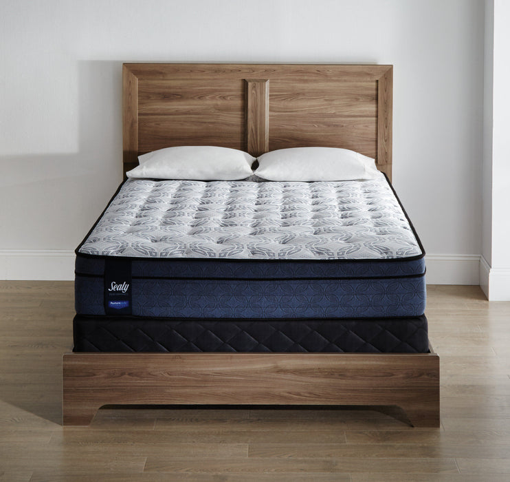 Ensemble matelas ferme à Euro-plateau Erindale Posturepedic Performance Sealy pour lit simple