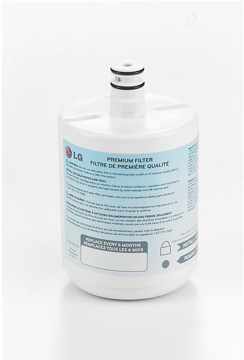Filtre à eau LG à capacité de 500 gallons