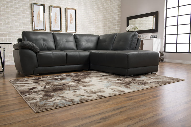 Carpette Casa - 8 pi x 11 pi\n