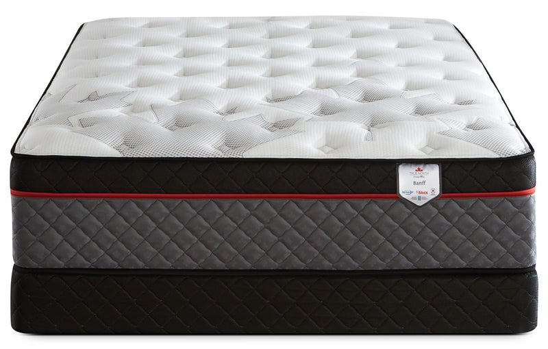 Ensemble matelas à Euro-plateau True North Banff Chiropractic de Springwall pour lit double