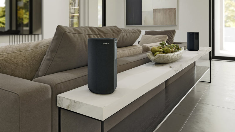 Haut-parleurs Sony sans fil avec pile intégrée (SARS5S)