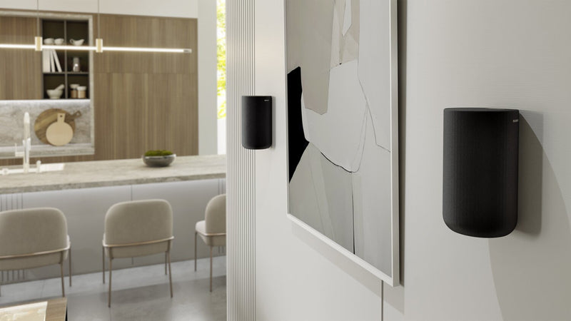 Haut-parleurs Sony sans fil avec pile intégrée (SARS5S)