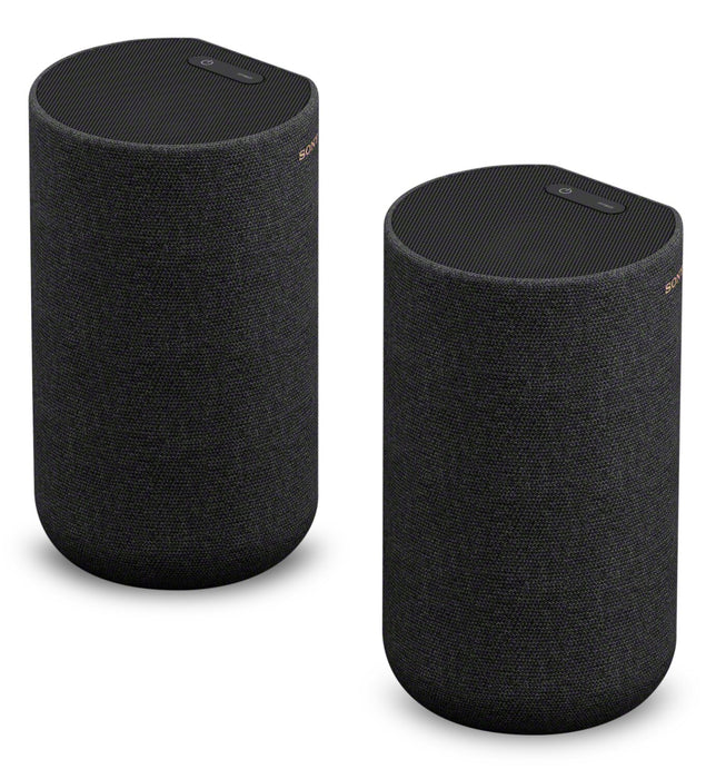 Haut-parleurs Sony sans fil avec pile intégrée (SARS5S)